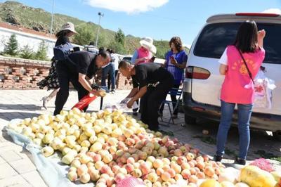 千亩葵花扮靓最美榆林 农副土特产品的生态与经济交响曲